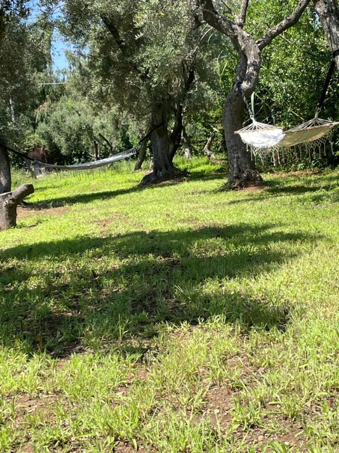 Tenuta Taurianum Panoramichouse E Panoramicb&B Palmi Esterno foto